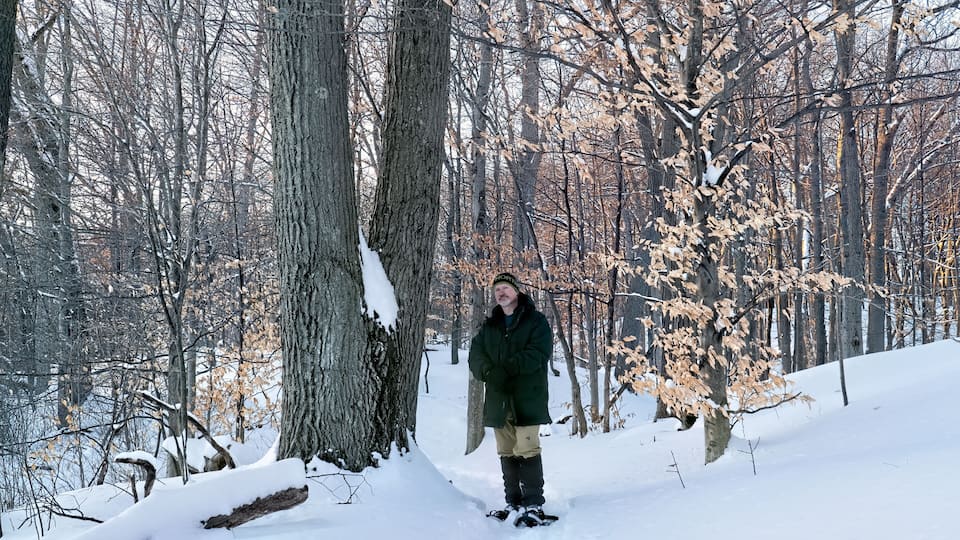 A person standing in a snowy forest with bare trees and snow-covered ground.