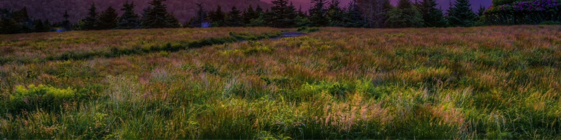 Roan Mountain - Round Bald - 5775 ft Elevation. Appalachian Trail.
#BvS #RoanMountain #sunset #BvSExplore