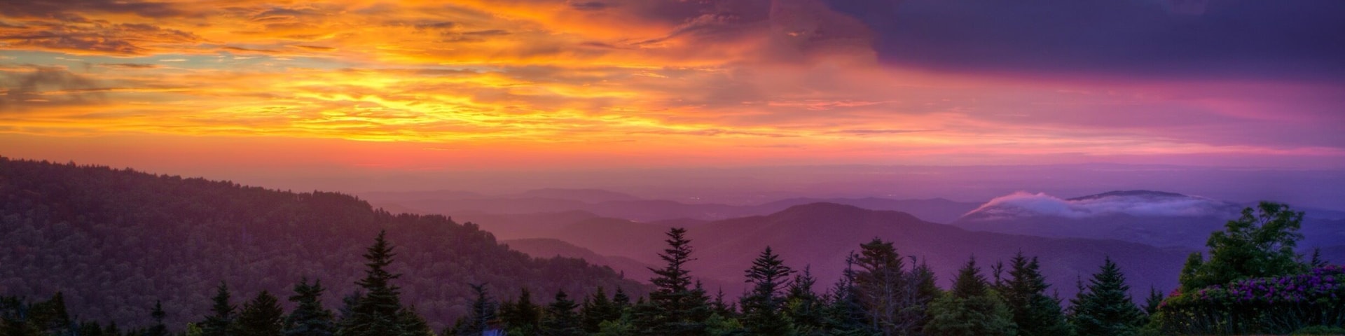 Roan Mountain - Round Bald - 5775 ft Elevation. Appalachian Trail.
#BvS #RoanMountain #sunset #BvSExplore