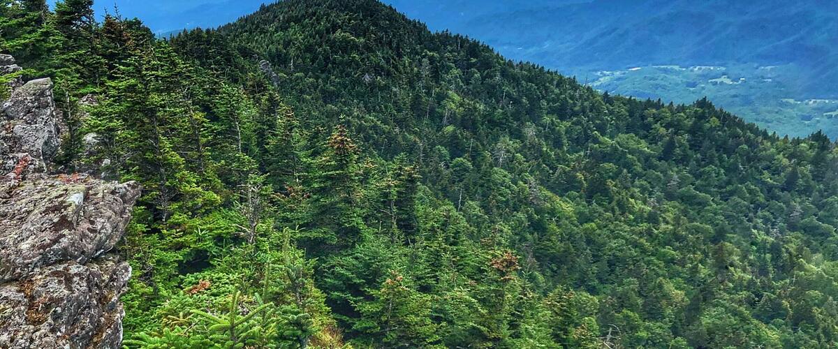 Definitely worth the hike.