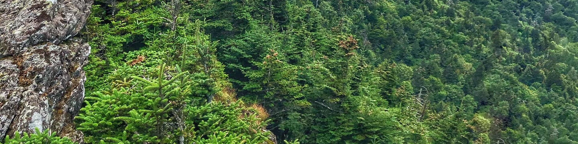 Definitely worth the hike.