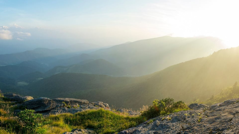 A hiker with a dog on a mountain ridge, overlooking a valley with mist-covered hills.