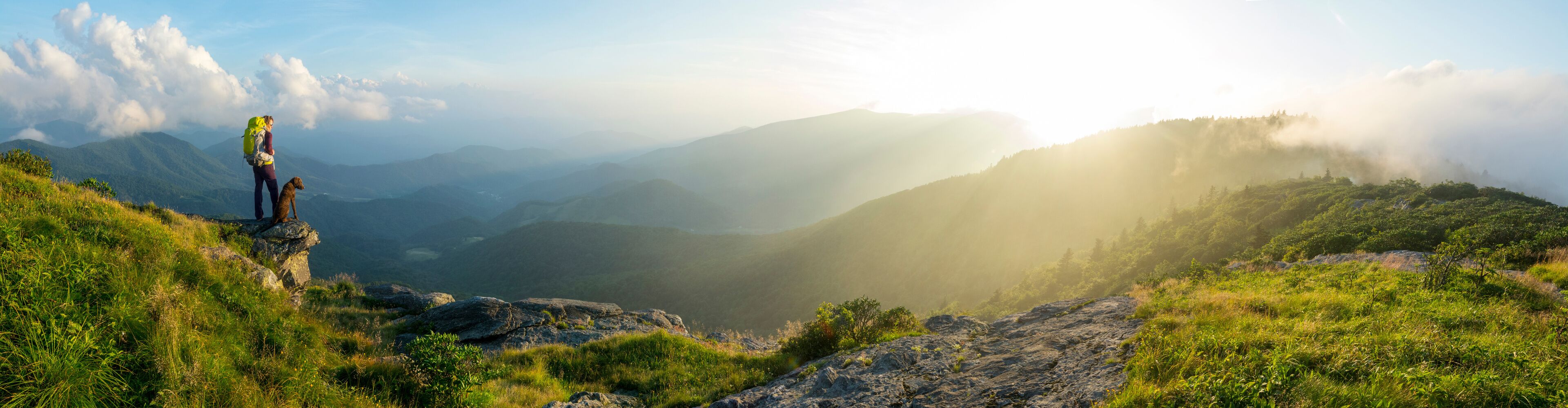 A hiker with a dog on a mountain ridge, overlooking a valley with mist-covered hills.