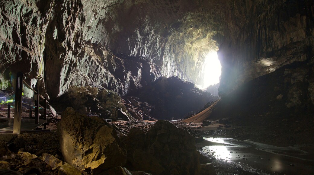Deer Cave, Mulu National Park, Borneo