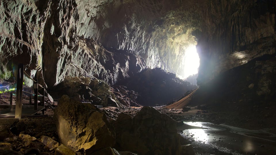 A cave with stalactites and a stream.