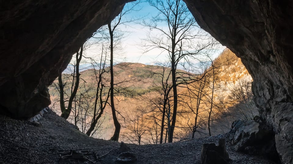 A cave entrance with a view of a forested hillside.