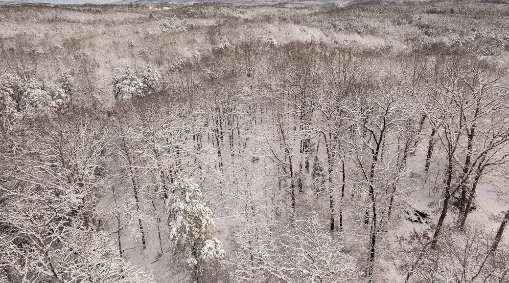 An aerial photo of a snowy Carolina morning,