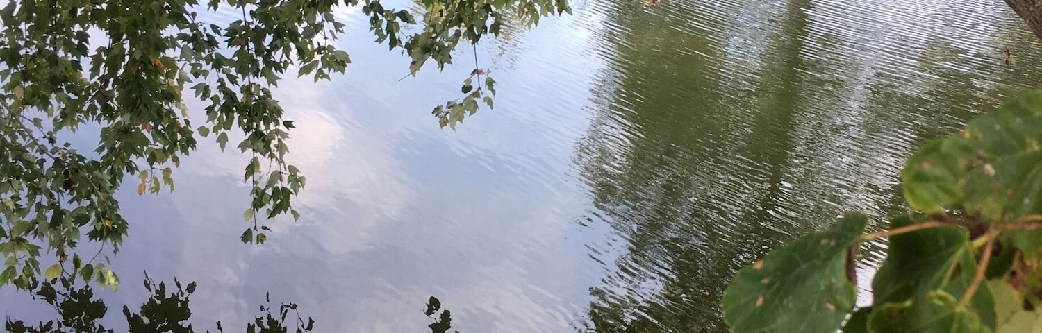 Right in my ownâbackyard â