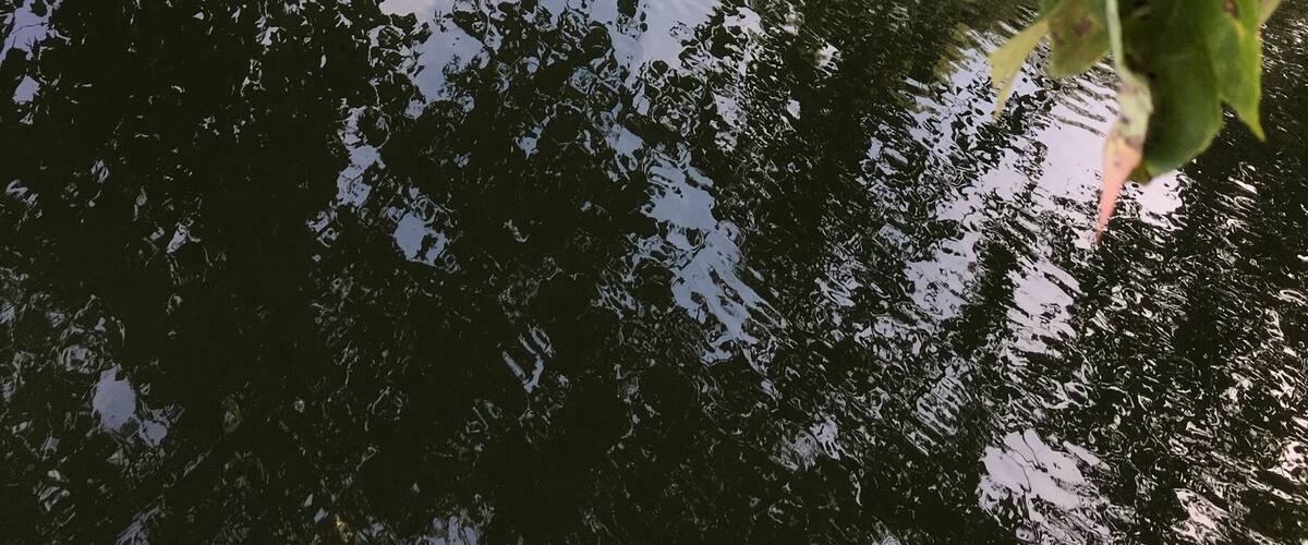 A calm lake with reflections of trees and a boat in the distance.