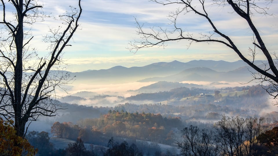 A misty mountain landscape with bare trees and a valley below.