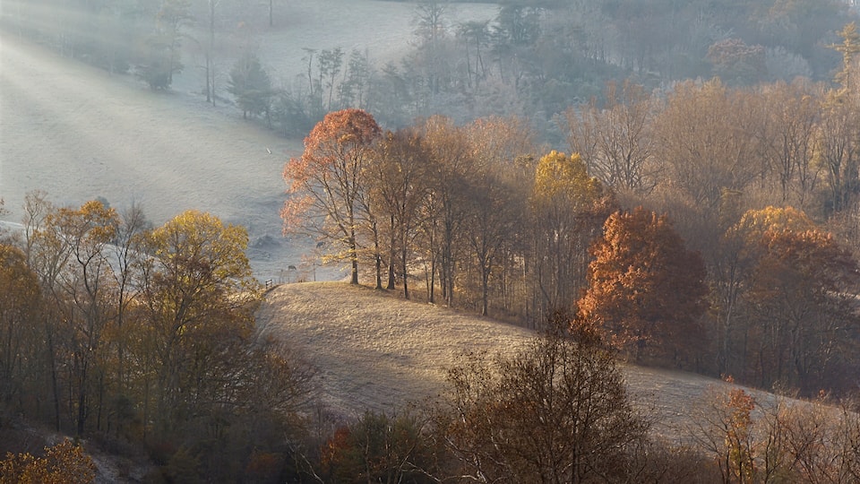 A misty autumn landscape with a hill, trees with autumn leaves, and a distant view of a lake.