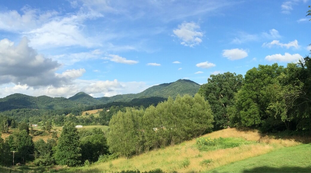 View from a friend's front porch, July 4, 2015 following a morning of rain. It turned out to be a lovely day! If you ever get a chance to visit western NC, I hope you have a day as beautiful as this.