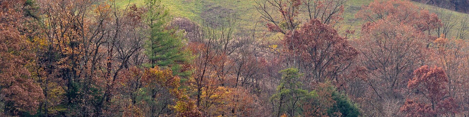 Autumn in the Hills of North Carolina
