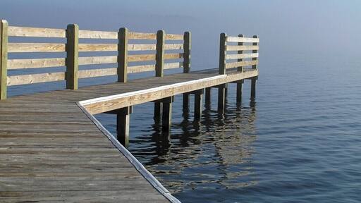 The fog was just beginning to roll in on Lake Phelps in Pettigrew State Park in eastern North Carolina.