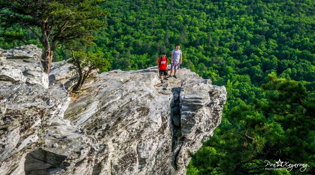 Hanging Rock has trails to waterfalls and rock outcrops overlooking mountains and the piedmont. There are 18 miles of hiking trails and access to horse trails. Swimming and boating is available on the lake in season. Fishing is available year round on the lake and Dan River. Access to Dan River for boating and tubing is nearby. Other outdoor recreation opportuities surround the park in Stokes County. Old Salem, Pilot Mountain State Park, and the Blue Ridge Parkway are less than an hour's drive.
