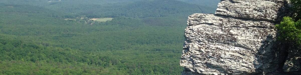 A rocky cliff overlooking a dense forest.