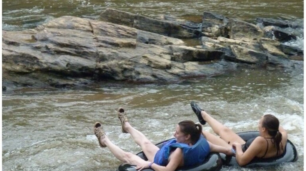 Oh yes, they got wet!