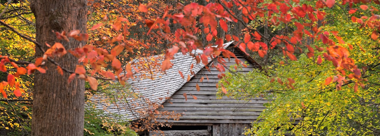 Cabins in great smoky mountain park