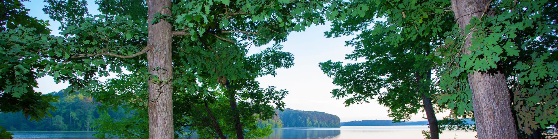 A serene lake surrounded by trees and large rocks.