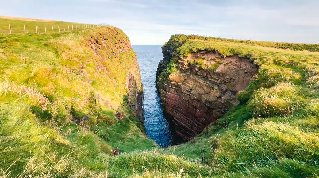 Deep narrow sea chasm between grassy cliffs and layered rock formations
