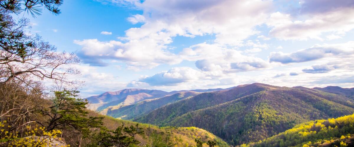A mountainous landscape with dense forests and a clear sky.