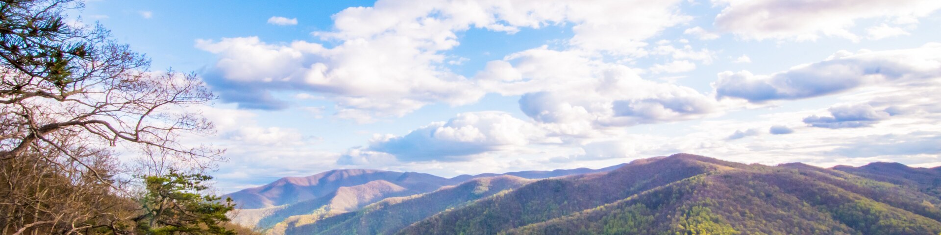 A mountainous landscape with dense forests and a clear sky.