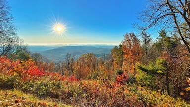 Blue Ridge Park Way
Shot using iPhone 11 Pro Max