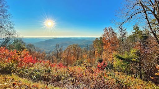 Blue Ridge Park Way
Shot using iPhone 11 Pro Max