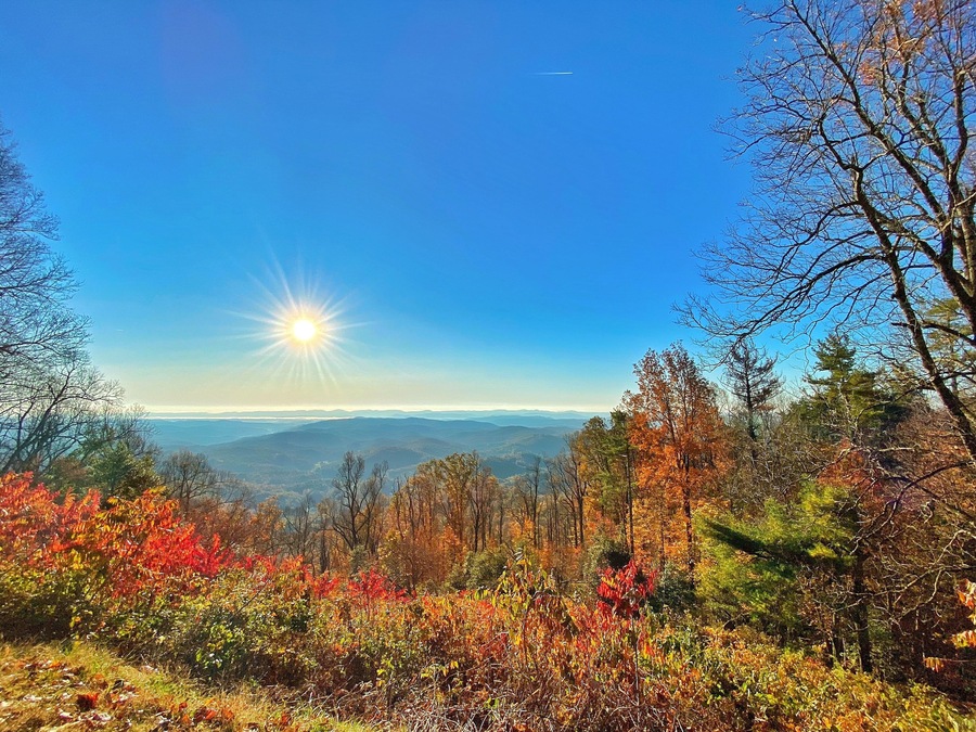 Blue Ridge Park Way
Shot using iPhone 11 Pro Max