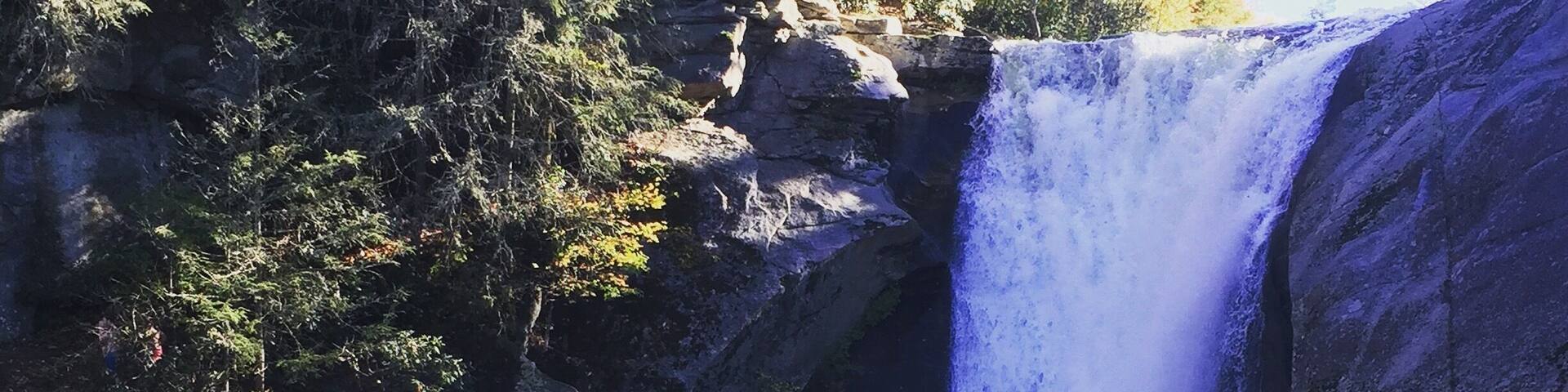 A waterfall cascading over rocks into a river surrounded by trees.