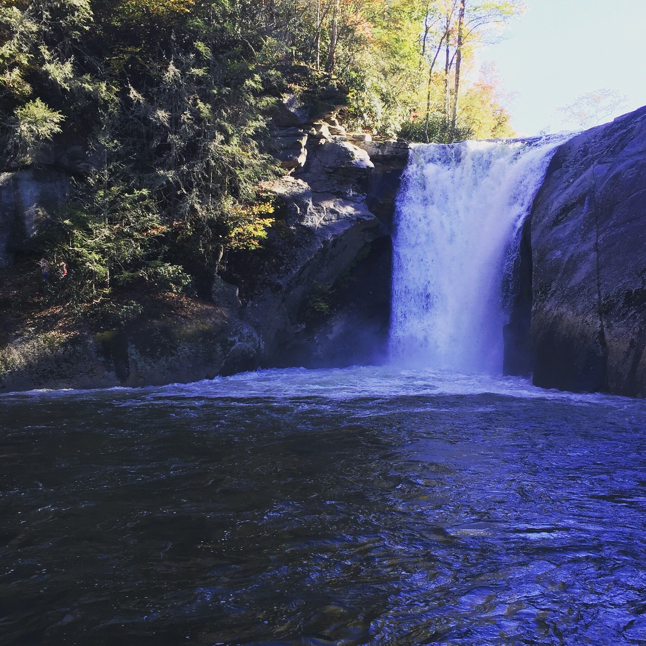 A waterfall cascading over rocks into a river surrounded by trees.