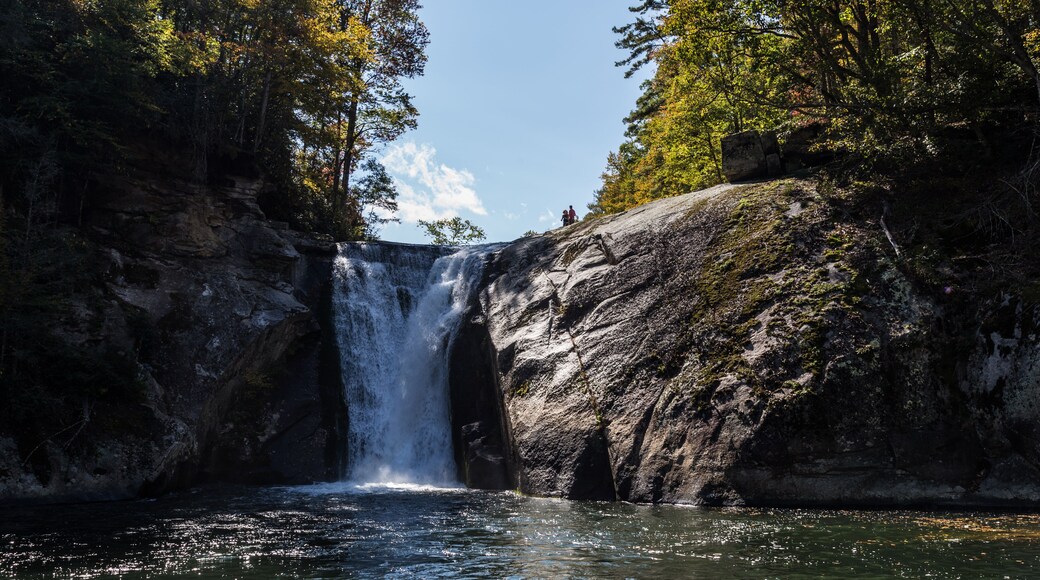 Un cascada que baixa per un penya-segat rocosos fins a una calma piscina d'aigua envoltada per arbres.