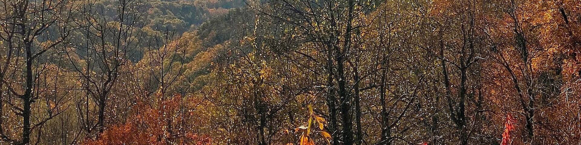 This photo speaks for itself. Cumberland Knob on the parkway is breathtaking.