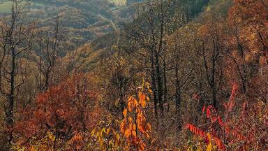 This photo speaks for itself. Cumberland Knob on the parkway is breathtaking.