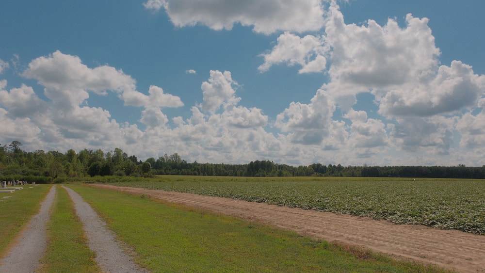 road in the field