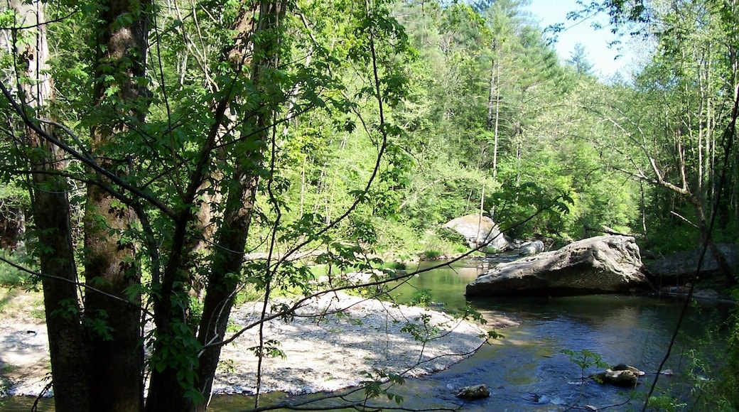 Along a long, upaved mountain road below Blowing Rock, NC.