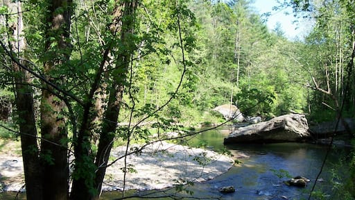 Along a long, upaved mountain road below Blowing Rock, NC.