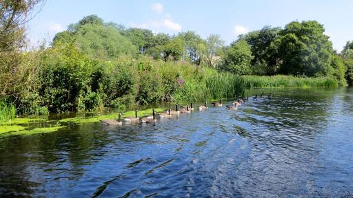 Crusing to Wansford lock - August 2013