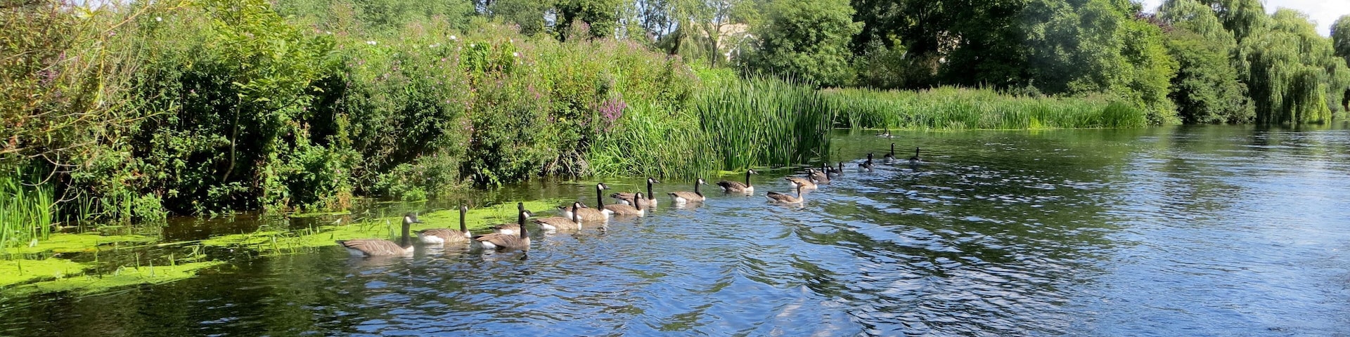Crusing to Wansford lock - August 2013