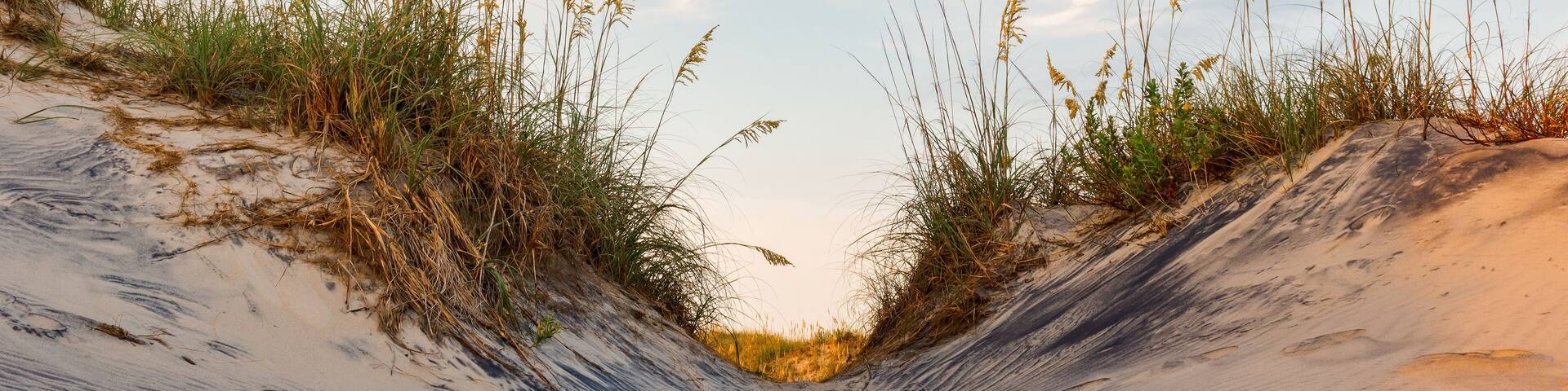 Sand Dunes Outer Banks 01