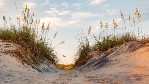 Sand Dunes Outer Banks 01
