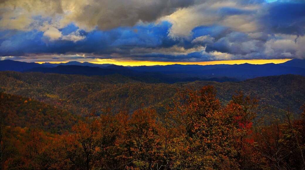 Fall Morning on the Appalachian Trail