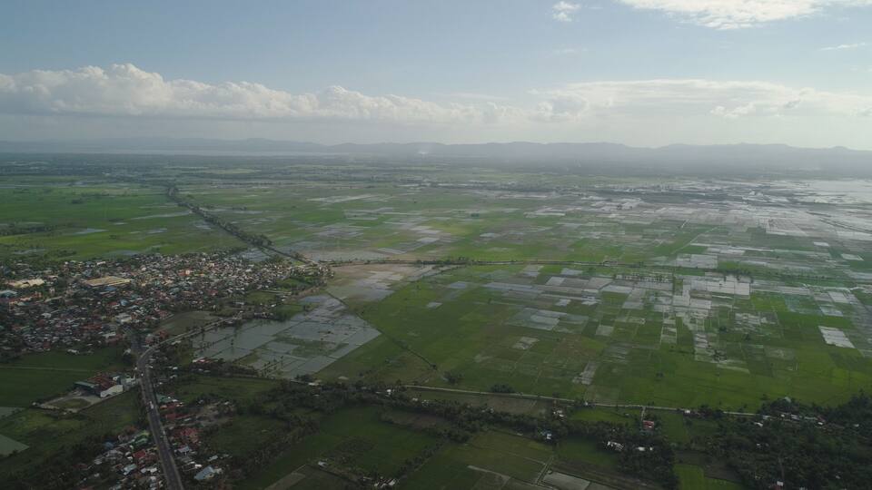 Aerial view of agricultural land, rice terraces near the lake Bato, Philippines, Luzon. Tropical landscape, lake, farm land on background mountains.