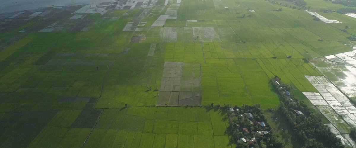 An aerial view of a river with adjacent agricultural fields and a small settlement.