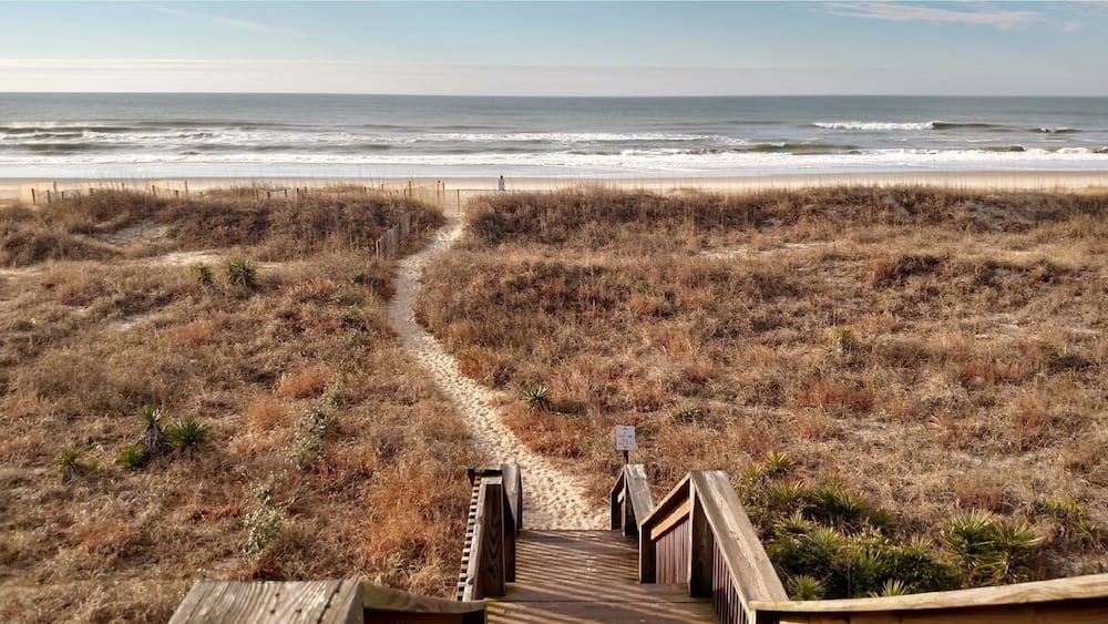 A beach path leading to the ocean, surrounded by dry grass and dunes.