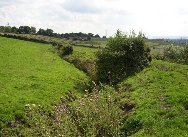 The Navigation Bank, Birkenshaw This is a closer view of the broad bank, and what seems to be too narrow a ditch to have been a canal. However it has had nearly 200 years to silt up.