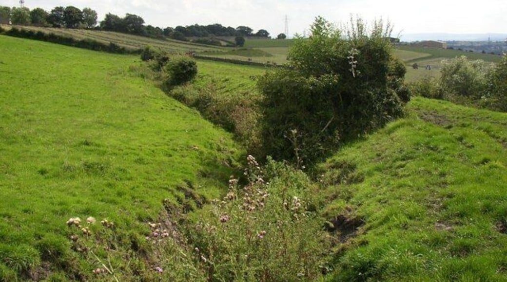 The Navigation Bank, Birkenshaw This is a closer view of the broad bank, and what seems to be too narrow a ditch to have been a canal. However it has had nearly 200 years to silt up.