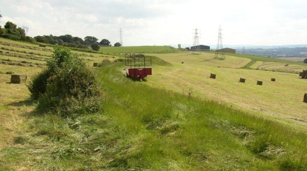 The navigation bank, southern part, Birkenshaw There is no right-of-way along the southern part. It has been preserved between two hayfields. It curves around the hillside and ends near some spoil heaps at Blue Hills Farm.