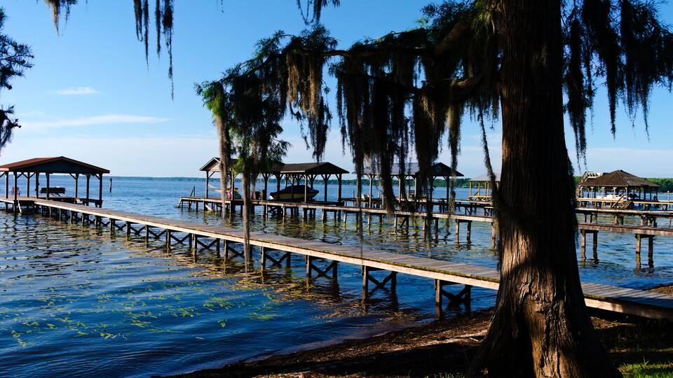 A wooden pier extending into a calm body of water, surrounded by trees with Spanish moss.