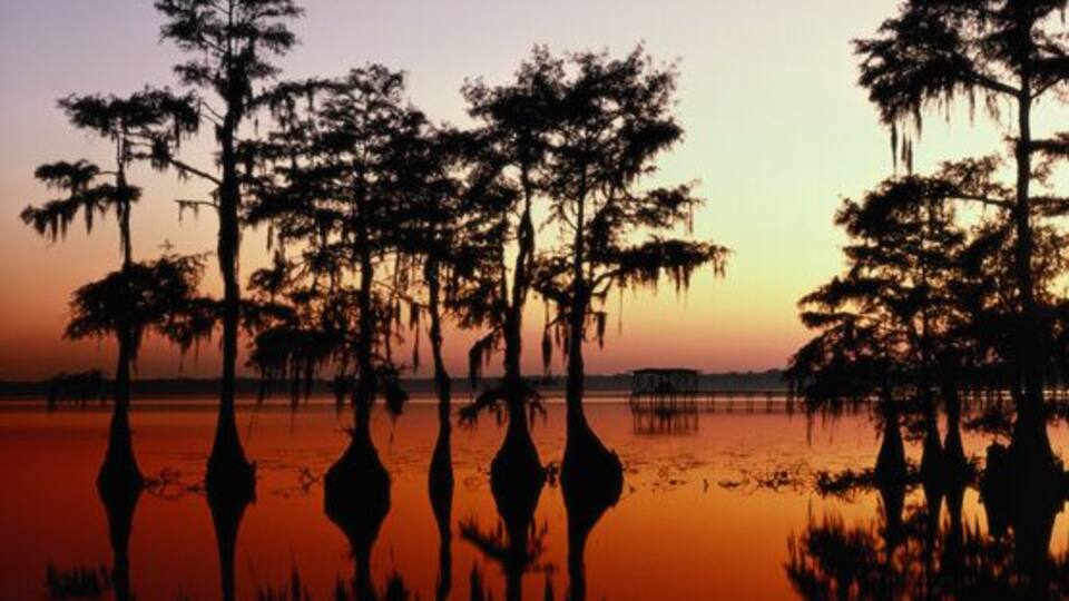 A sunset over a calm water body with silhouettes of trees and a distant pier.